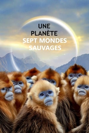 Une planète, sept mondes sauvages Saison 1 poster