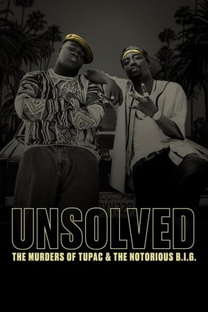 Unsolved Saison 1 poster