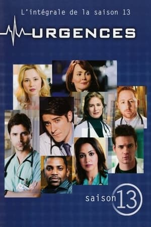 Urgences Saison 13 poster