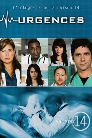 Urgences Saison 14 poster