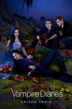 Vampire Diaries - saison 3 poster