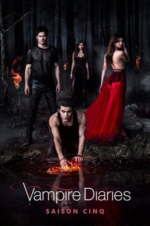 Vampire Diaries Saison 5 poster