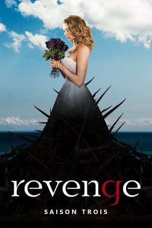 Vengeance - saison 3 poster