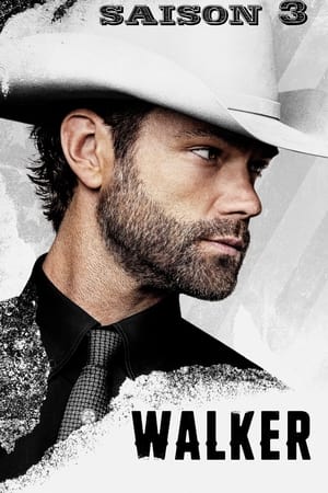 Walker - saison 3 poster
