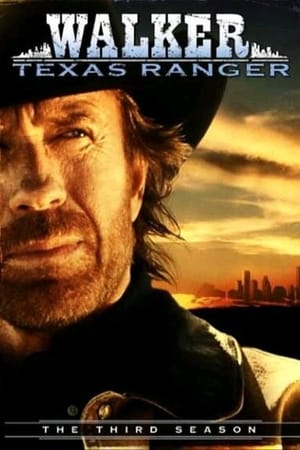 Walker, Texas Ranger Saison 3 poster