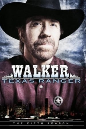Walker, Texas Ranger - saison 5 poster