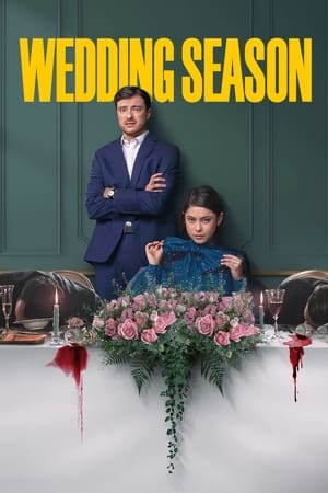 Wedding Season Saison 1 poster