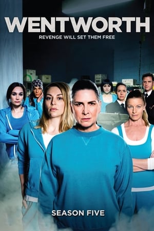 Wentworth Saison 5 poster